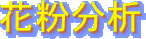 ԕ