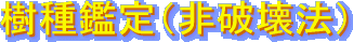 Ӓij@j