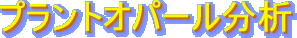 vgIp[