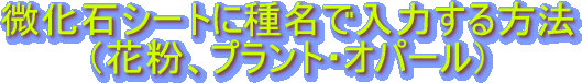 ΃V[gɎ햼œ